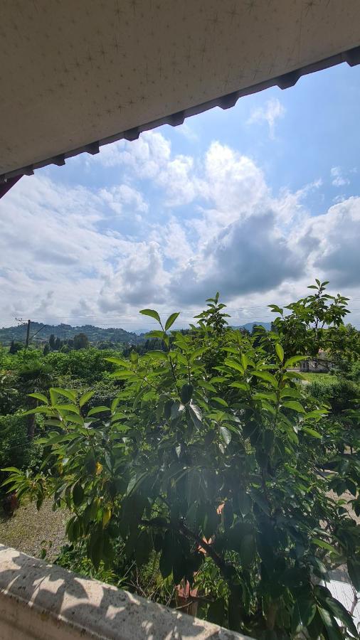 Gios Guest House Chakvi Exterior photo